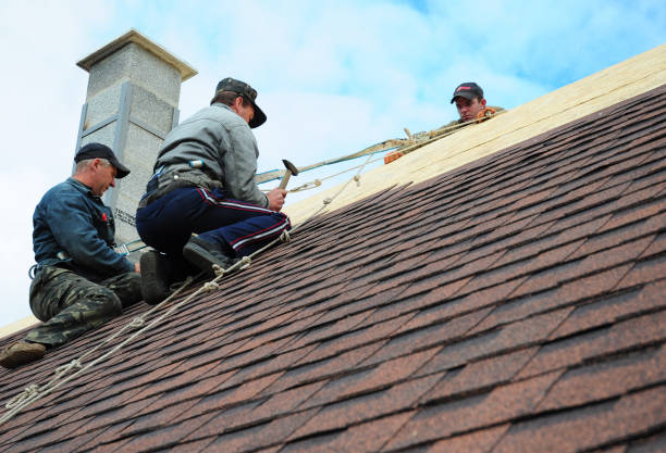 Best Roof Gutter Cleaning  in Point Roberts, WA