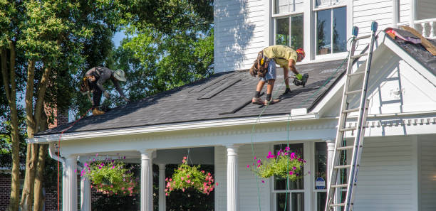 Best Shingle Roofing Installation  in Point Roberts, WA